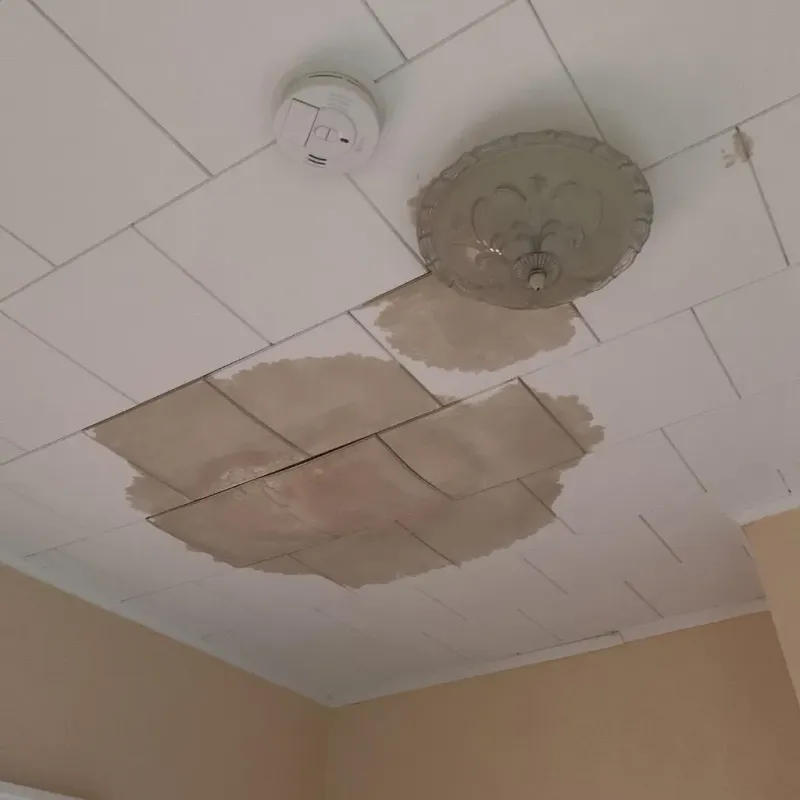 Ceiling Water Damage Repair in Reinholds, PA