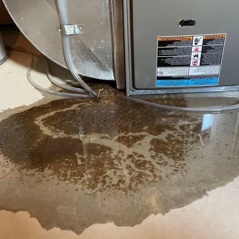 Pipe Burst and Leak Restoration in Reinholds, PA
