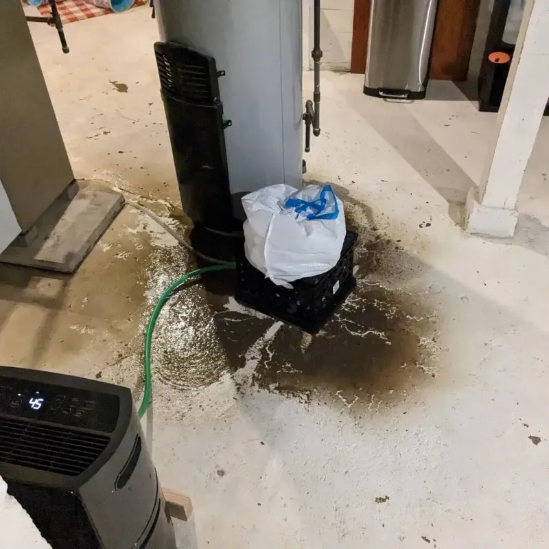 Sewage Backup Cleanup Service in Reinholds, PA